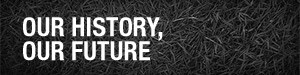 adelovalhistory300x75.jpg